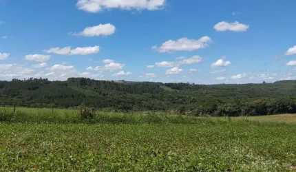 Fazenda à venda em Ortigueira no Paraná. Com 124 alqueires sendo 40 alqueires plantando, 40 alqueires tirando madeira, 20 km de Imbaú.  R$ 25.000.000,