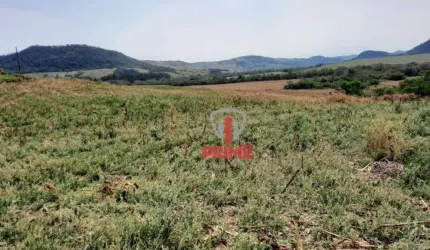 Sítio à venda em Faxinal no Paraná. Com 22 alqueires plantando 17, topografia: leve inclinação. Entrada + 2 pagamentos.