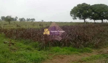 Área, Putim, São José dos Campos - R$ 35 mi, Cod: 34941244