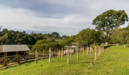 Chácara / sítio com 2 quartos à venda na Hermes Candido de Sa, 115, Colônia Marcelino, São José dos Pinhais por R$ 995.000