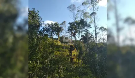 Chácara / sítio à venda na Zona Rural, Campina Grande do Sul  por R$ 1.700.000