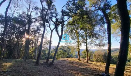 Chácara / sítio à venda na Estrada São João do Povinho, 01, Três Córregos, Campo Largo por R$ 650.000