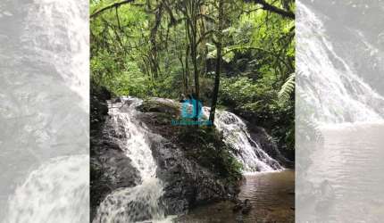 Chácara / sítio à venda na Estrada São João do Povinho, 01, Três Córregos, Campo Largo por R$ 650.000