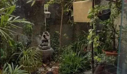 Casa à venda no bairro Vila Amália (Zona Norte) - São Paulo/SP