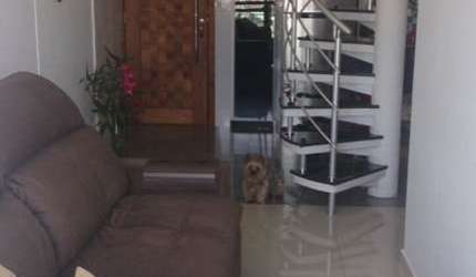 Apartamento Padrão para Venda em Freguesia do Ó São Paulo-SP