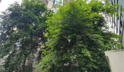 Apartamento para alugar, 60 m² por R$ 11.000,00/mês - Vila Olímpia - São Paulo/SP