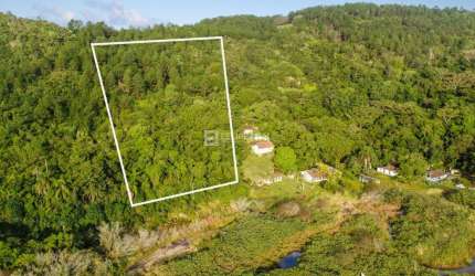 TERRENO - PRAIA DO FORTE - FLORIANÓPOLIS - 8.000 M2