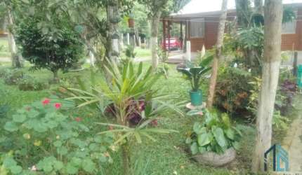 (PERMUTA) Chácara a venda c/ casa 04 quartos, em São José dos Pinhais PR