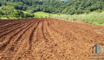 Sítio a venda com 12.29 alqueires, 15 km do centro de Campo Mourão Paraná PR