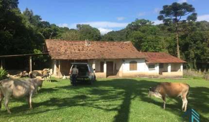 Sítio ótima localização, documentada, 15 alqueires com casas, Tijucas do Sul - PR