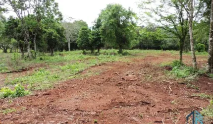 Área a venda 125 mil m², em ótima localização, próximo novo Autódromo Internacional Chapecó SC