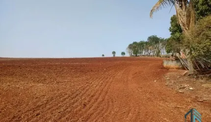 Sítio 30 alqueires extra imperdível - Oportunidade Única! em Cornélio Procópio PR