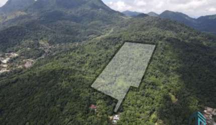 Terreno 55 mil m², no Morro dos Médicos Área Nobre de Jaraguá do sul - SC