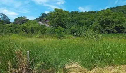 Terreno para Venda em Guaramirim / SC no bairro Amizade
