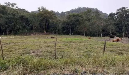 Terreno para Venda em Guaramirim / SC no bairro Caixa D água