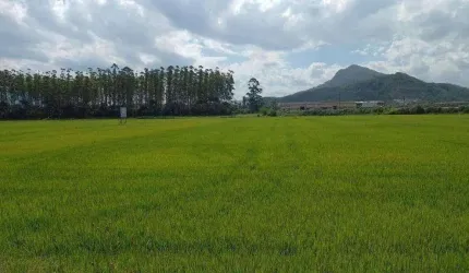 Terreno para Venda em Guaramirim / SC no bairro Escolinha