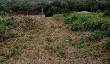 Terreno para Venda em Guaramirim / SC no bairro Corticeira