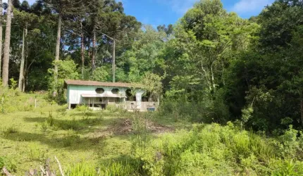 Chácara para Venda em Mandirituba, Colônia Retiro