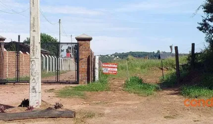 Terreno para alugar, 6000 m² por R$ 4.000,00/mês - Lageado - Porto Alegre/RS