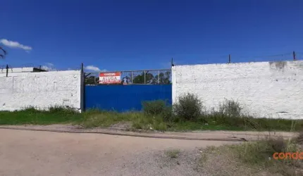 Pavilhão para alugar, 250 m² por R$ 4.170,00/mês - Ponta Grossa - Porto Alegre/RS