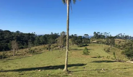Terreno para Venda em São Bento do Sul, Serra Alta