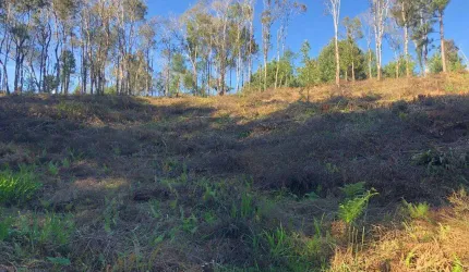 Terreno para Venda em São Bento do Sul, Progresso