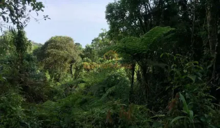 Terreno para Venda em São Bento do Sul, Rio Vermelho Estação