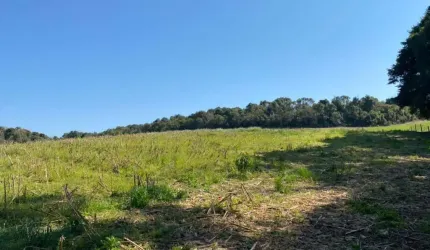 Terreno para Venda em São Bento do Sul, Dona Francisca