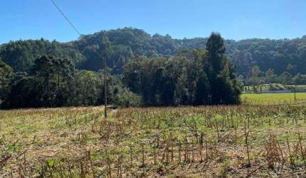 Terreno para Venda em São Bento do Sul, Centenário