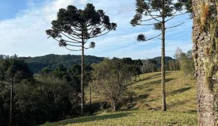 Terreno para Venda em São Bento do Sul, Rio Vermelho Povoado