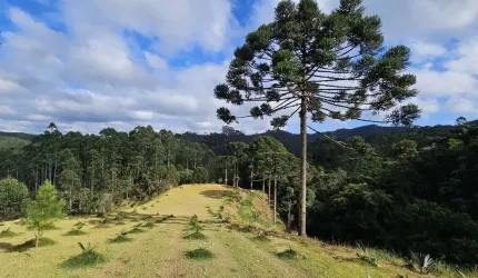 Chácara para Venda em São Bento do Sul, Rio Vermelho Estação