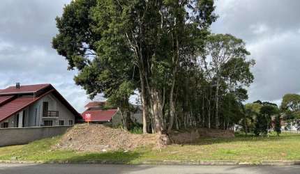 Terreno para Venda em São Bento do Sul, Progresso