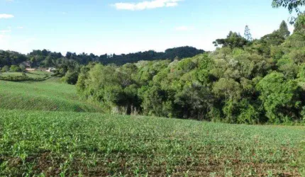 Terreno para Venda em São Bento do Sul, Centenário