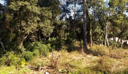 Terreno para Venda em São Bento do Sul, Brasilia