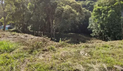 Terreno para Venda em São Bento do Sul, Centro