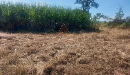 Sítio - Santo Antônio da Alegria  - Zona Rural