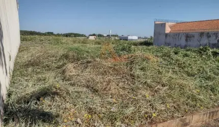 Terreno - Ribeirão Preto - Bonfim Paulista