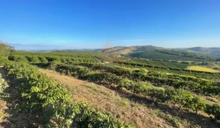 Fazenda  - São Lourenço  - Zona Rural