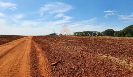 Fazenda  - Ribeirão Bonito  - Zona Rural