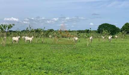 Fazenda  - Jaíba  - Zona Rural