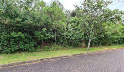 Terreno / Lote / Condomínio à venda no Bairro Condomínio Buena Vista com 330 m² de área privativa