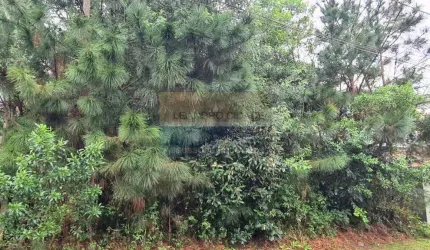Terreno / Lote / Condomínio à venda no Bairro Condomínio Buena Vista com 362 m² de área privativa