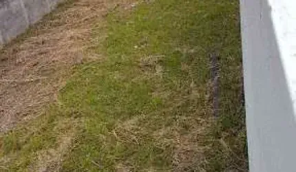 Terreno à venda, 400 m² por R$ 1.390.000,00 - Vila Assunção - Santo André/SP