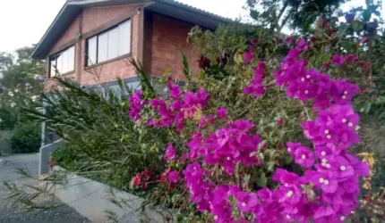Chácara em Campo Largo, com Casa de 3 Dormitórios no Guabiroba