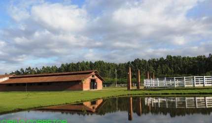 Fazenda à venda na Rua Josefina Jung, 830, Aparecida, Portão, 840 m2 por R$ 1.500.000