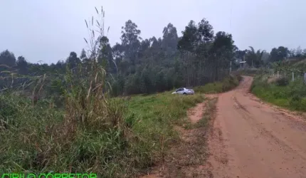 Chácara / sítio à venda na Estrada Geral Sobrado Baixo/Serra Velha, s/n, Costa da Serra, Montenegro por R$ 100.000
