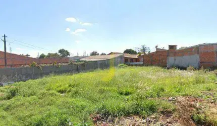 LOTE INTEIRO REGIÃO SUL