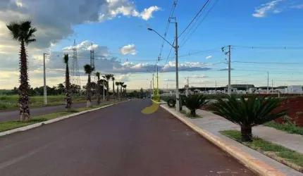 Colinas Tropical