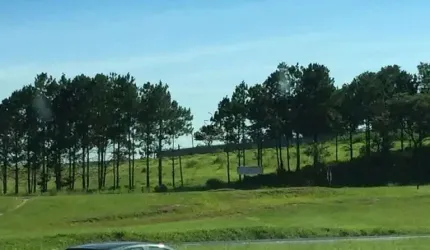 Terreno comercial para alugar na Rodovia Raposo Tavares, 905, Vila Artura, Sorocaba por R$ 9.500
