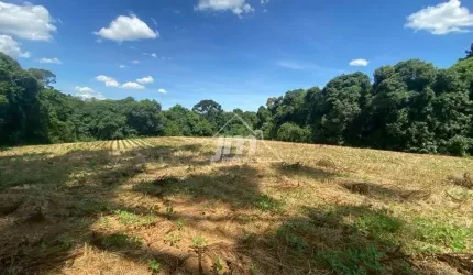 Terreno para Venda, Rondinha, Campo Largo / PR